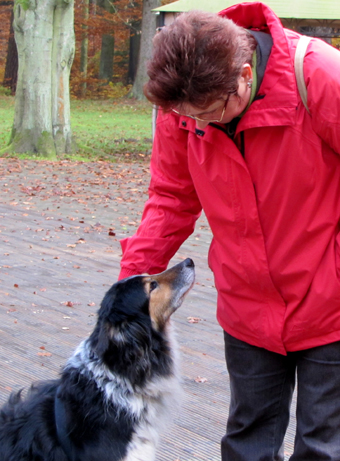 Ein Hund am Schloss