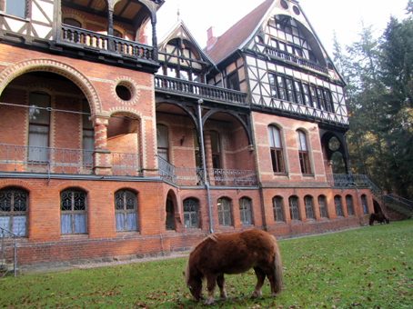 Ein Pony am Schloss