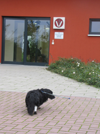 Tierklinik in Braunschweig