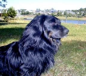 Portraitfoto von Zotti