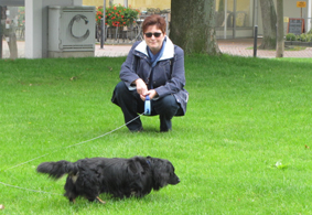 Zotti auf der Wiese in Steinhude